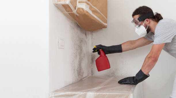 Professional Crawl Space Mold Remediation technician working in Towaco, NJ